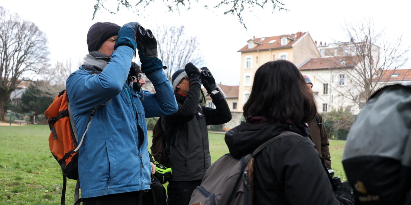 Observations ornithologiques lors de l'inauguration du Refuge LPO du Parc Marliave © Auriane Poillet